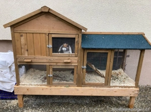 Hasen zu verkaufen mit Hasenstall