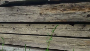 Allerlei Altholz zu verkaufen Bild 2