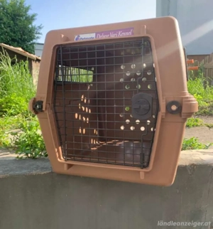 tolle Hundetransportbox Bild 2