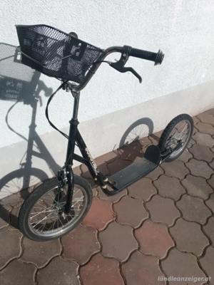 Scooter Erwachsene 16 Zoll schwarz Bild 2