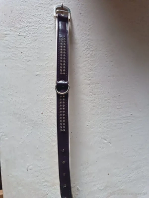 Hundehalsband m.Strass Bild 2