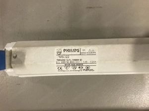 Neonlichter mit Leuchtmittel