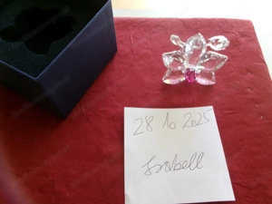 Swarovski Orchidee Blüte  Bild 3