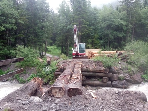 Bagger Takeuchi  Bild 2