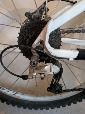 Kraftstoff Mountainbike  Bild 3