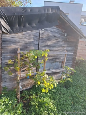 Gartenhaus zum Selbstabbau Bild 3