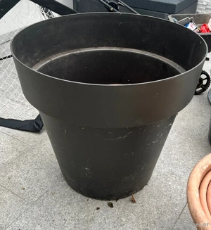 riesiger Übertopf 80cm Bild 2