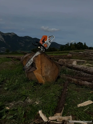 Forstfachmännische Arbeit