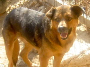 Eddy freut sich auf SEIN neues Leben - NOTFALL Bild 8