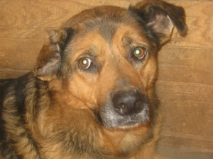 Eddy freut sich auf SEIN neues Leben - NOTFALL Bild 7