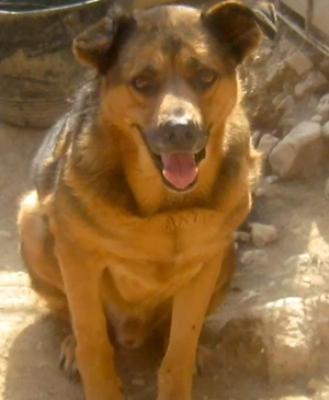 Eddy freut sich auf SEIN neues Leben - NOTFALL Bild 2