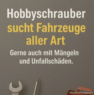 Suche Autos - auch mit Mängel, Unfall oder sonstigem Schaden (Ankauf)