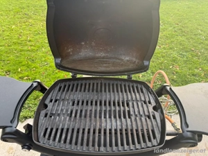 Weber Gasgrill Q1200 Bild 3