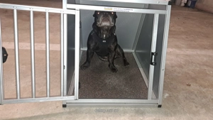 Hunde Transport Box  Bild 3
