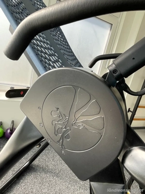 Rückenstrecker Teta kieppbar Bild 3