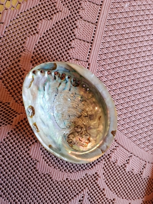 (Reserviert) 2x Avalon Muschel Bild 2