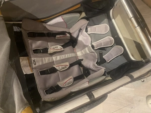 Thule Chariot  Fahrradanhänger Bild 2