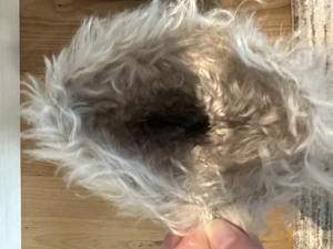 Prada Winterstiefel - Neuwertig  Bild 6