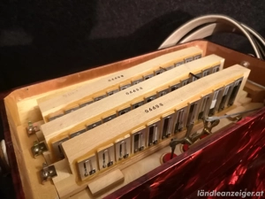 Akkordeon  Bild 3