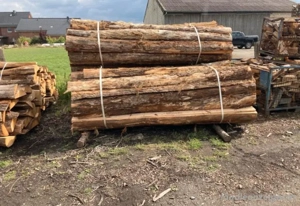 Kaminholz Brennholz Eiche Trocken Bild 2