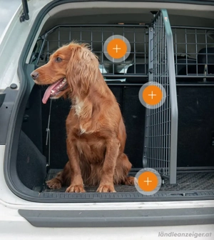 Trenngitter Kofferraum PKW Bild 4