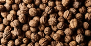 Walnüsse aus dem Garten