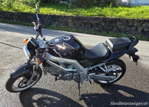 Verkauf: Suzuki SV 650 Bild 2
