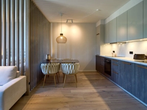 Luxusapartment 1-Zimmer Bild 3