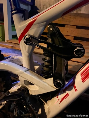 Downhill Bike Scoot Gambler Bild 3