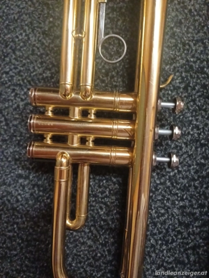 schöne Trompete Bild 4