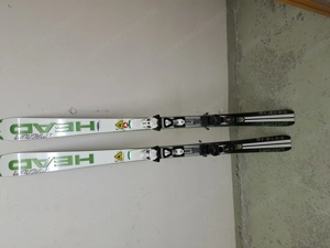 Alpinski  hed magnum