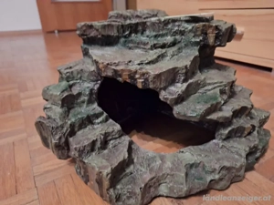 Reptilien Höhle Bild 2