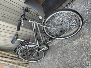 Damenrad Giant Bild 2