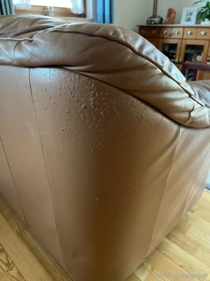 Ledersofa zu verschenken Bild 3
