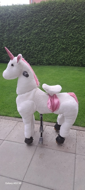 Reitpferd auf Rollen Bild 3