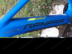 E - Bike Genisis  NEU   E-ProMTB29zoll Grösse 53 Euro2450.- Bild 5