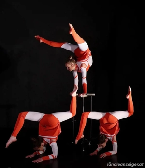 Kreativer, vielseitiger Künstler sucht Team 