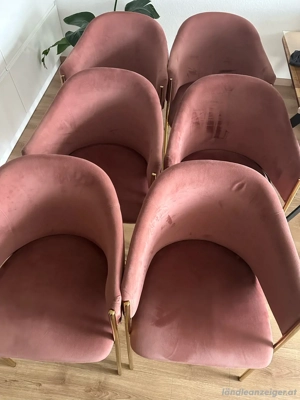 Stuhle(Rose mit gold) Bild 2