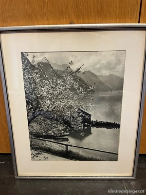 2 schwarz weiß Bilder Bild 2