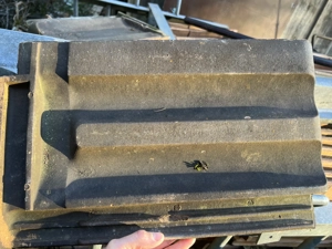 Dachplatten Zürcher Ziegel  - Istighofer 2 Modelle Bild 4