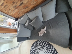 Couch  Sofa grau guter Zustand inklusive Kissen
