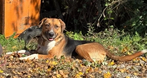 Bobby Boy träumt von SEINER eigenen Familie Bild 3