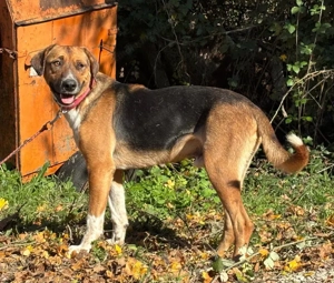 Bobby Boy träumt von SEINER eigenen Familie Bild 6