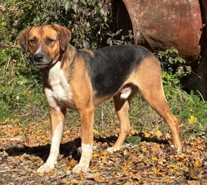 Bobby Boy träumt von SEINER eigenen Familie Bild 4