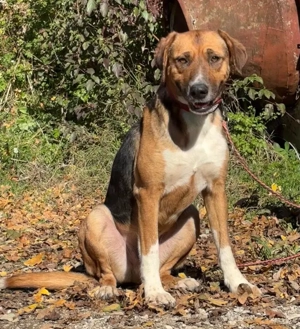 Bobby Boy träumt von SEINER eigenen Familie Bild 2