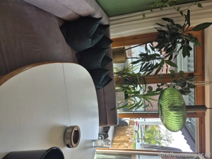 Nachmieter für 3-Zimmerwohnung in Gisingen gesucht Bild 2