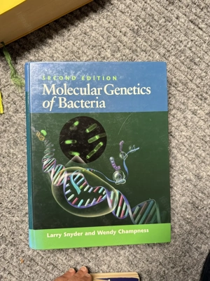 Molecular Genetics of Bacteria