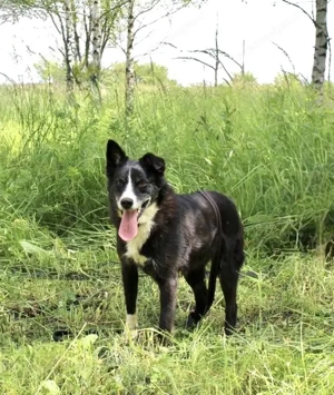 Mike sucht Traumzuhause Bild 4