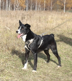 Mike sucht Traumzuhause Bild 2