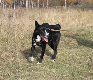 Mike sucht Traumzuhause Bild 5